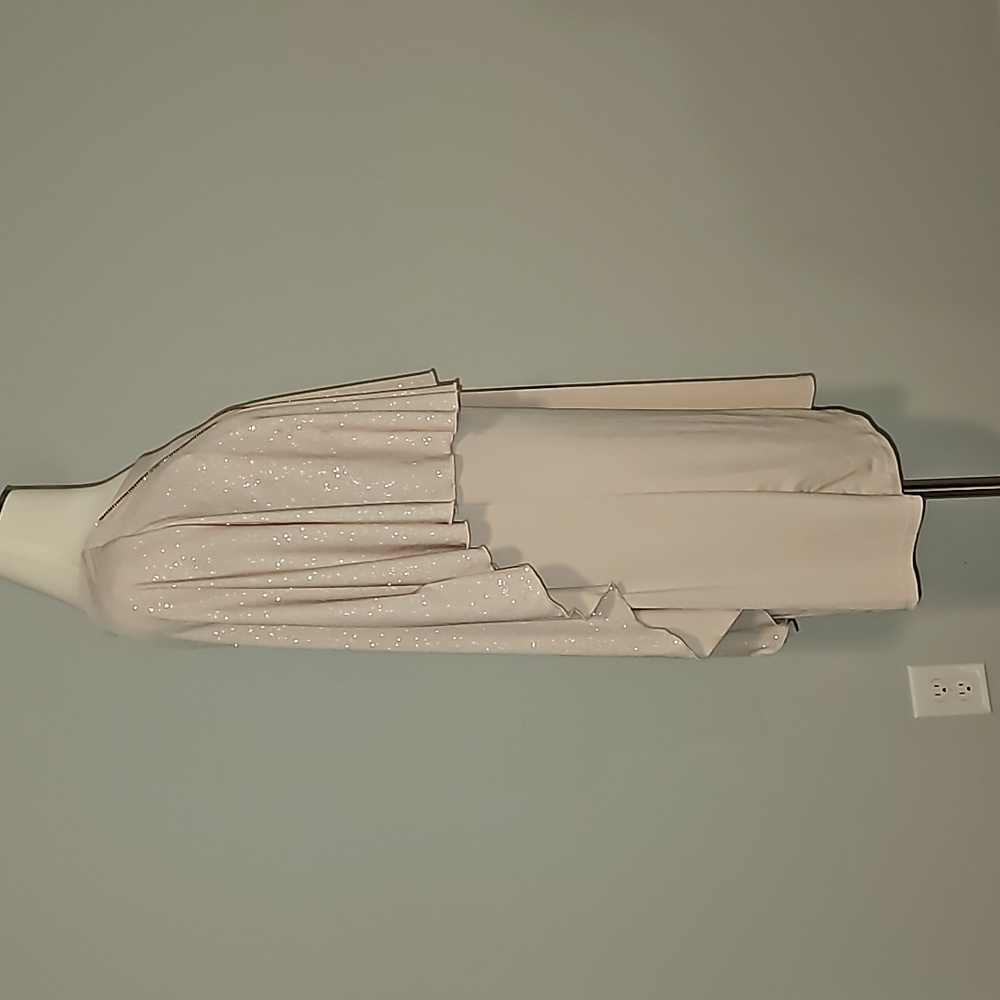 EN FOCUS Studio woman Sparkly Nude + Gold Sheer Tank Dress 16W NWT - Picture 8 of 14
